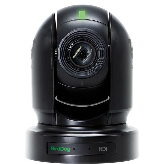 BirdDog Eyes P200、FullNDI対応 PTZカメラ BirdDog BDP200B Eyes P200 1080P Full NDI PTZ Camera w/ Sony Sensor